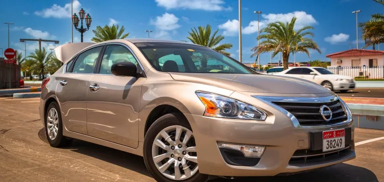 Saloon car from the Alsinan Transport private car rental fleet parked on a palm-lined road